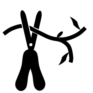 Mulching, rock beds and bush trimming services in Pompano Beach. Pompano Beach mulching, rock beds and bush trimming services. Call 954-418-2355.